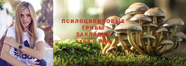 дурь Гусиноозёрск
