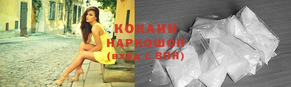 таблы Гусев