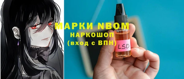 таблы Гусев