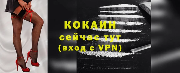 дурь Гусиноозёрск