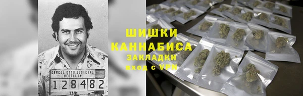 дурь Гусиноозёрск