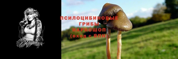 дурь Гусиноозёрск