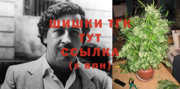 дурь Гусиноозёрск