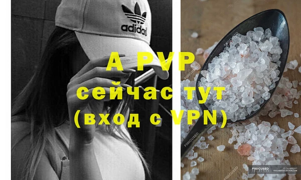 дурь Гусиноозёрск
