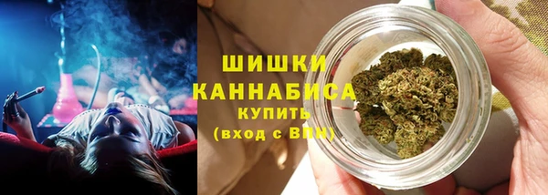 таблы Гусев